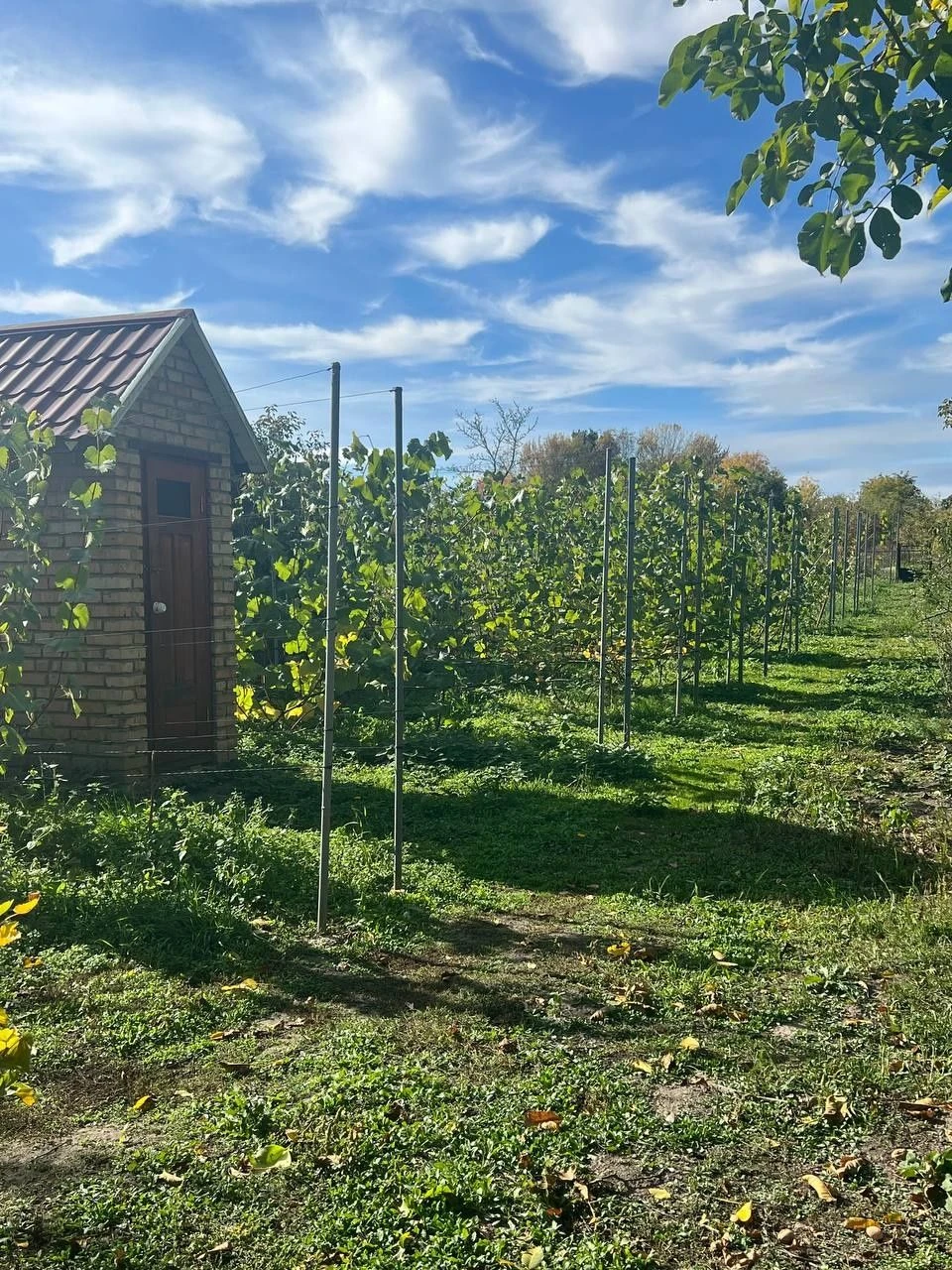 Two-story house 180 square meters near Rivne, 52 acres