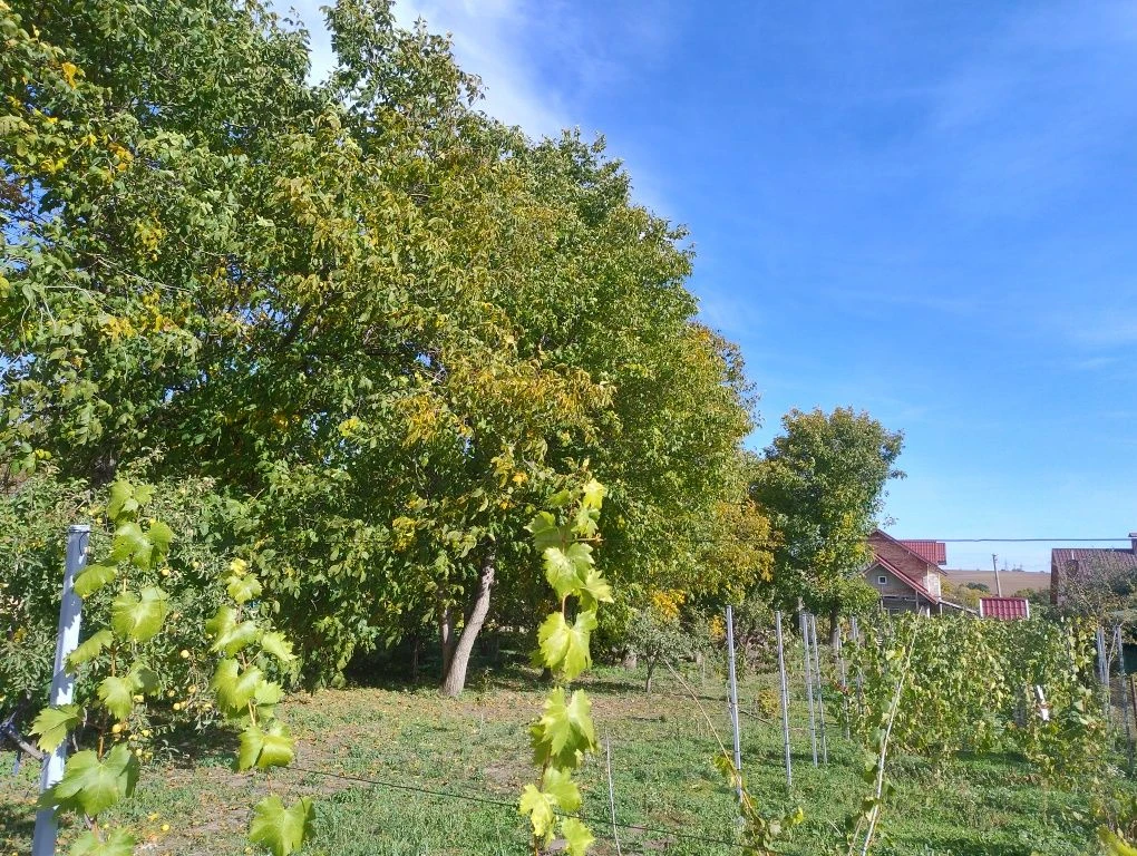 Two-story house 180 square meters near Rivne, 52 acres