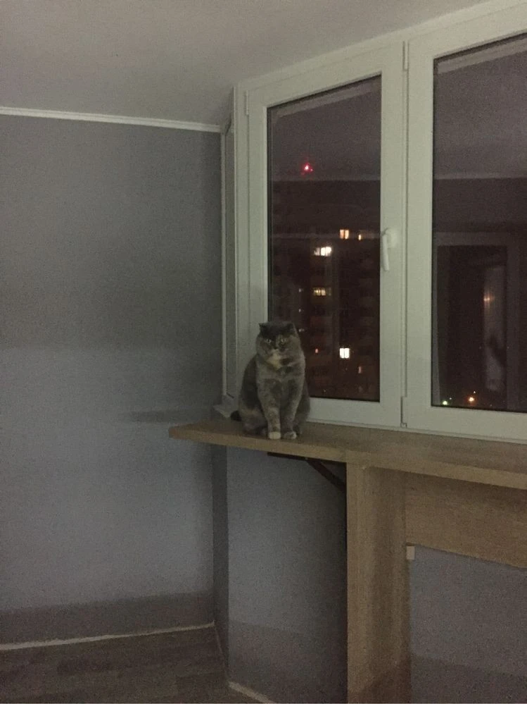 Selling 2-room apartment in the ЖК Милославичі. Owner. No commission.