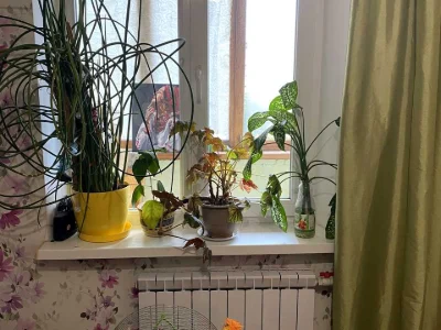 Apartment. Kyiv, Red Kaliny Prospect