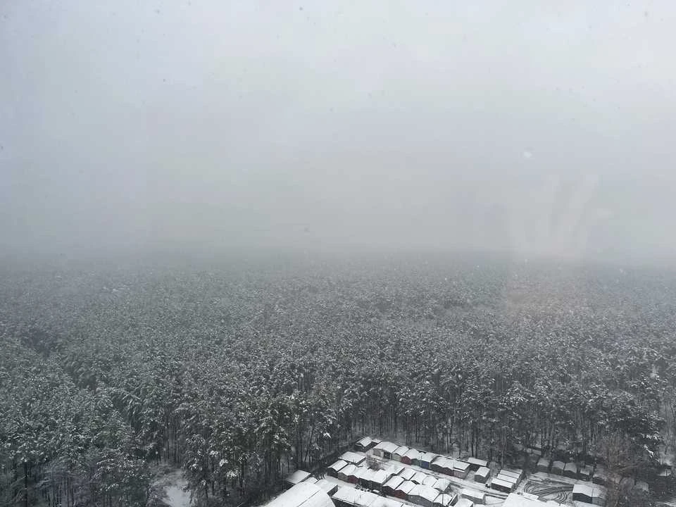 Квартира. Київ, Світла вул.