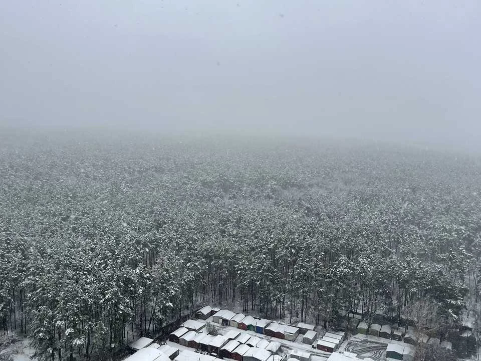 Квартира. Київ, Світла вул.
