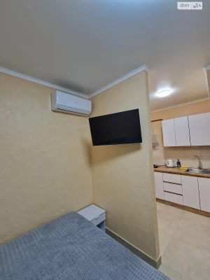 Long-Term Rental Apartment in Chubaiivka