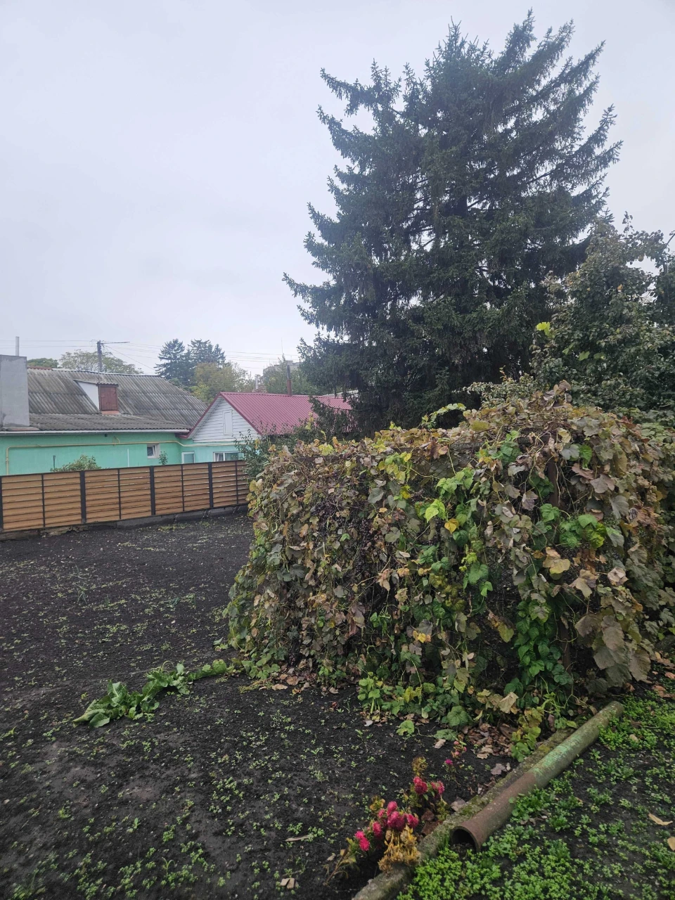 Продаж будинку в м. Черкаси, вул. Максима Залізняка, від власника
