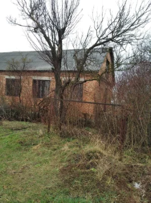 For Sale: House with Land near the Dniester
