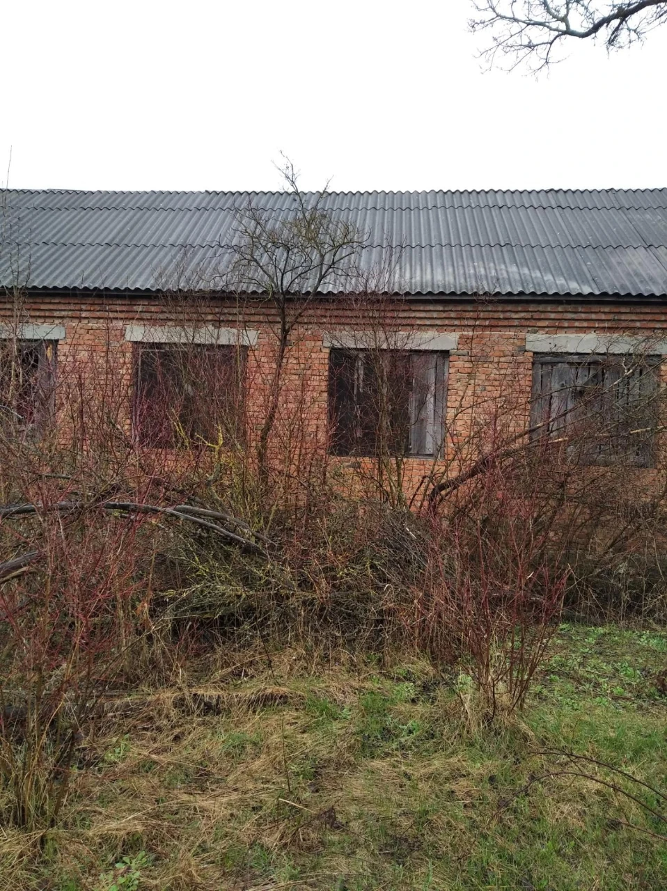 For Sale: House with Land near the Dniester