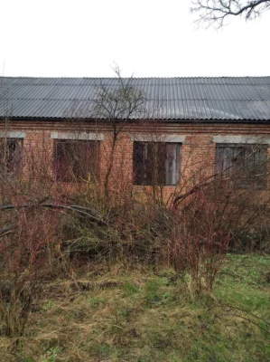For Sale: House with Land near the Dniester