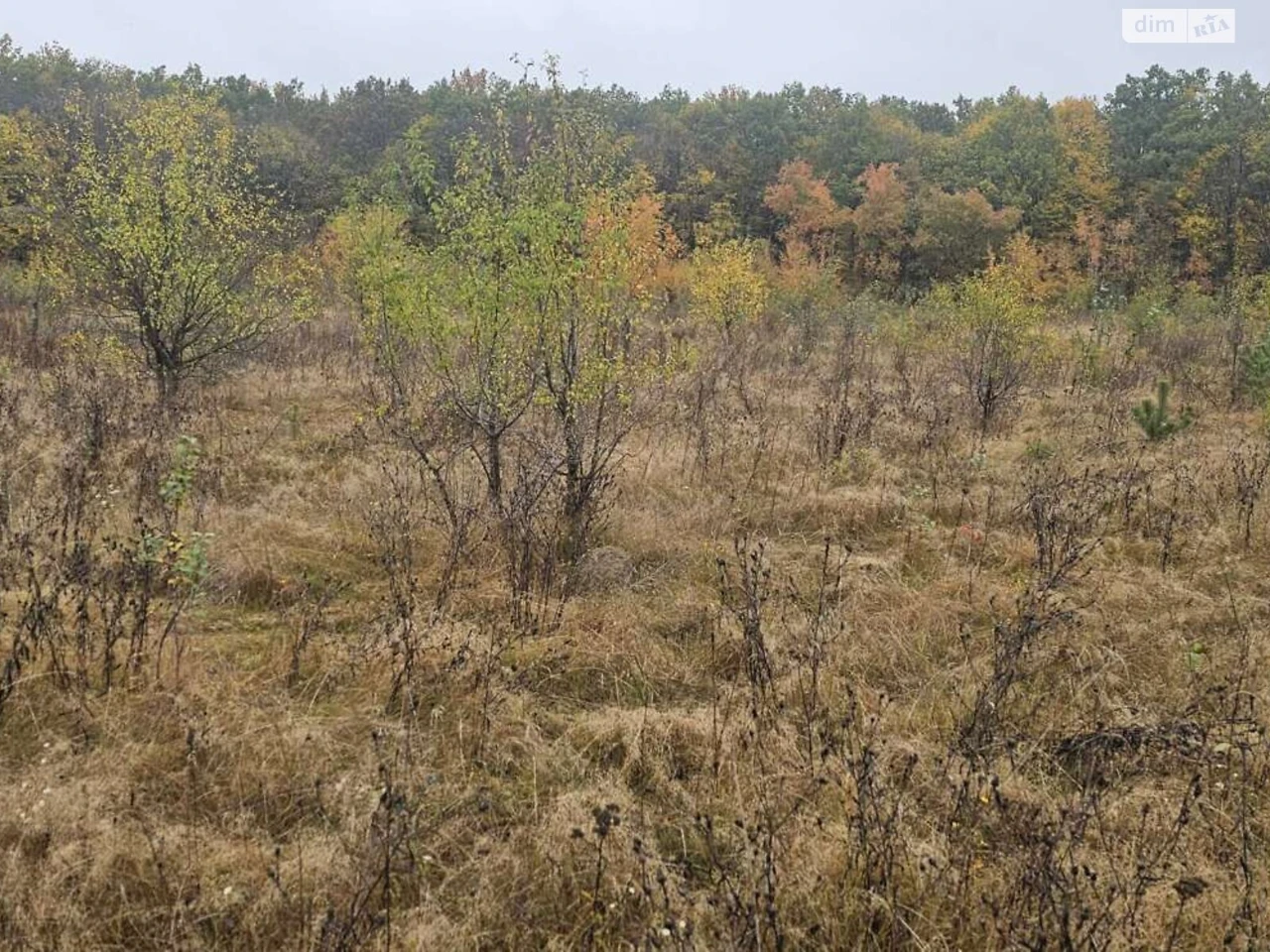 Продаж Ділянка під житлову забудову Старе місто