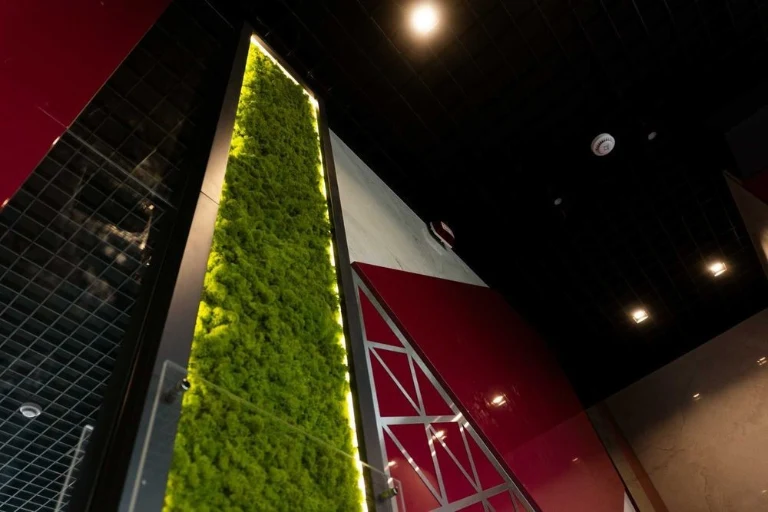 2-room apartment for rent in a ready-made house! Kyiv, Poznyaki, L