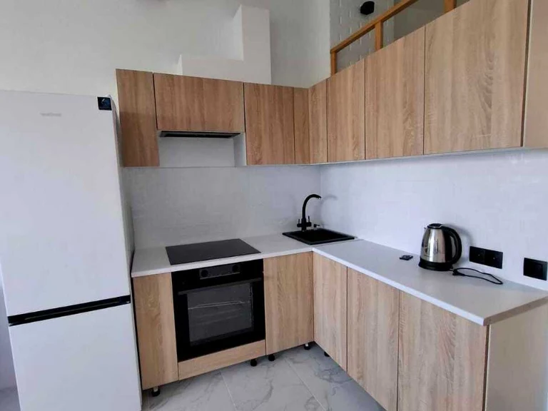 Apartment. Kyiv, Kam'yanska Street