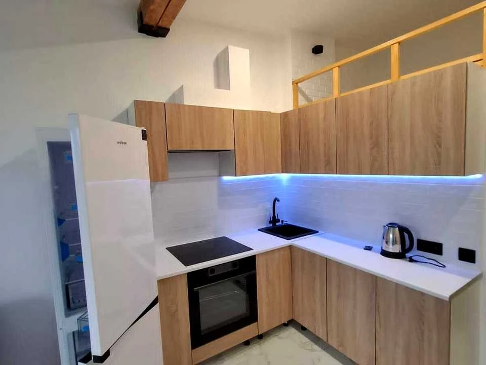 Apartment. Kyiv, Kam'yanska Street