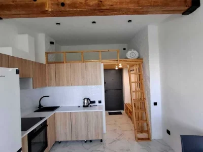 Apartment. Kyiv, Kam'yanska Street
