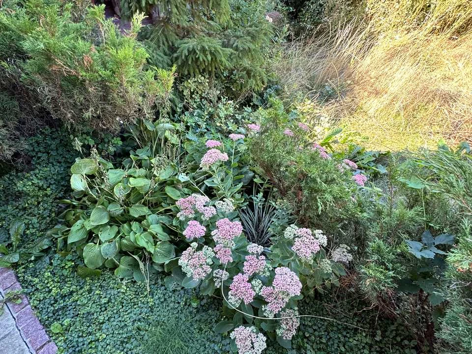 Будинок. Київ, вулиця Садова, 62.