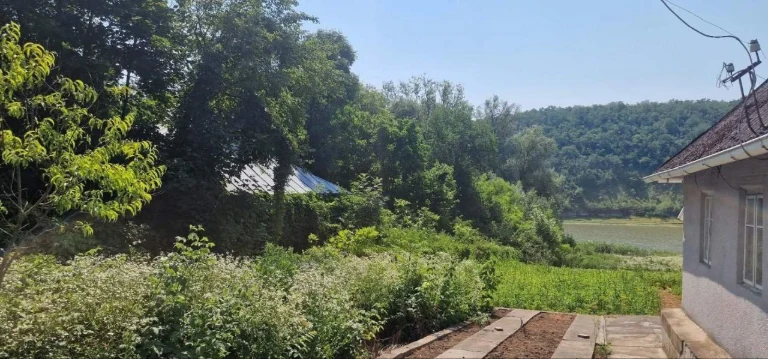 House near the Dniester for sale
