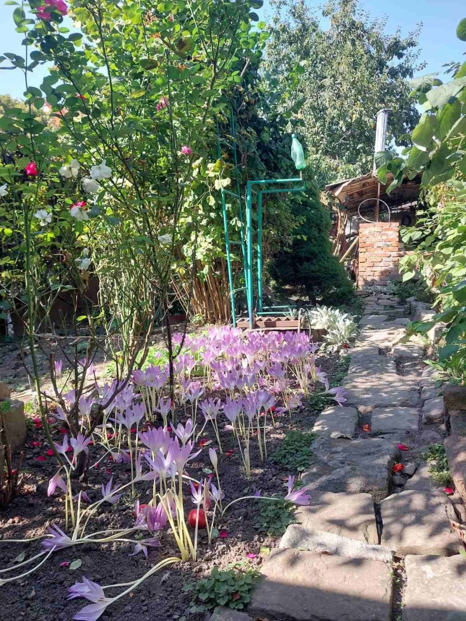 Приватний будинок