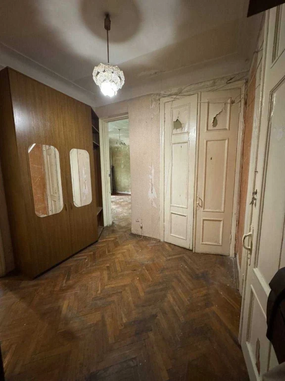 3 окремі кімнати, Скоропадського, Паньківська Микільська Ботан