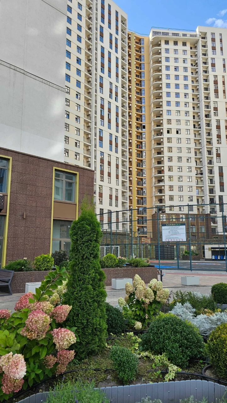 1к Краснова KADORR Низкая цена