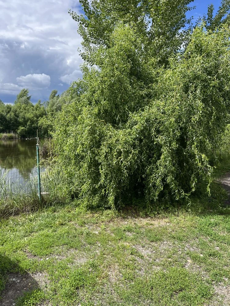 Room for rent in a private house, with a bomb shelter