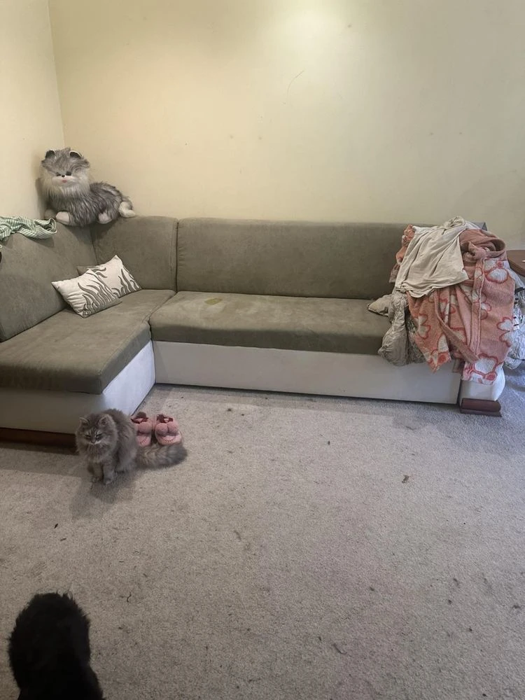 Sale of a 2-room apartment | dormitory | George Washington Street