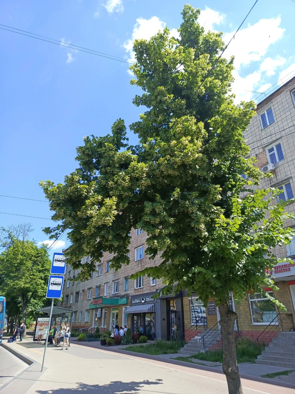 Продажа комнаты на Красном мосту