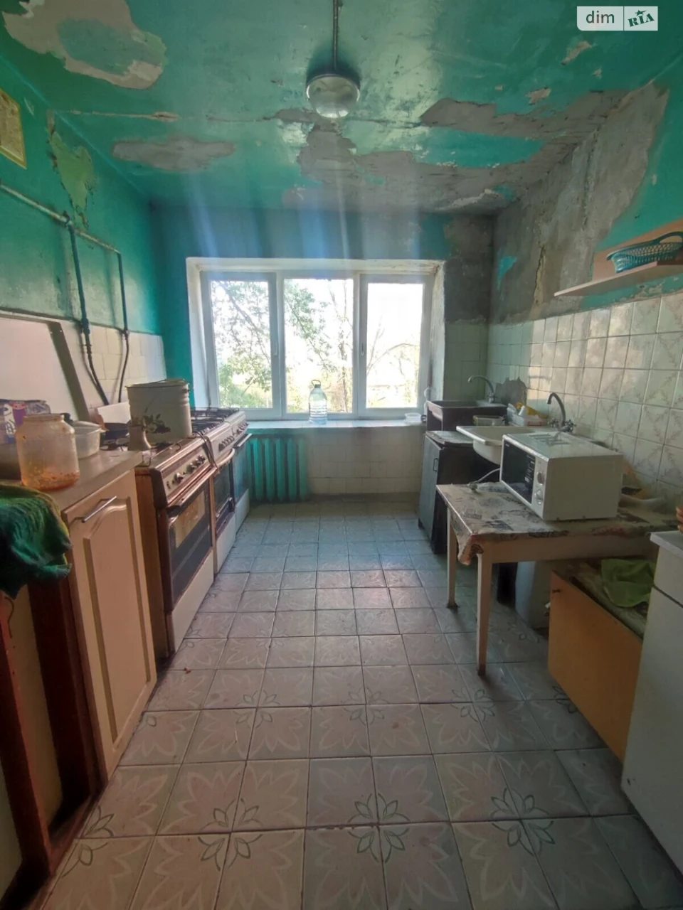 Studio Apartment Botatsad