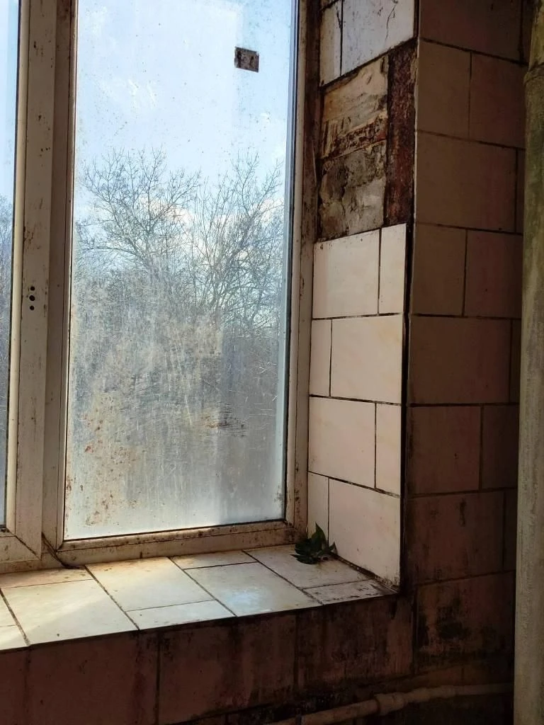 1к, улица Миру, 14, ХТЗ