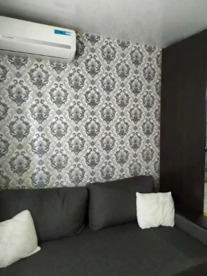 Room for rent in an apartment