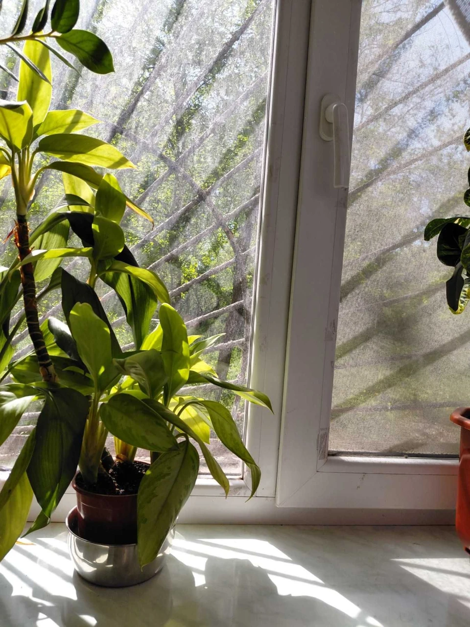 2 room apartment for sale in shared accommodation at Kichkas