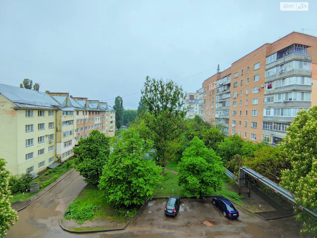 Продаж кімнати в гуртожитку, Зигіна
