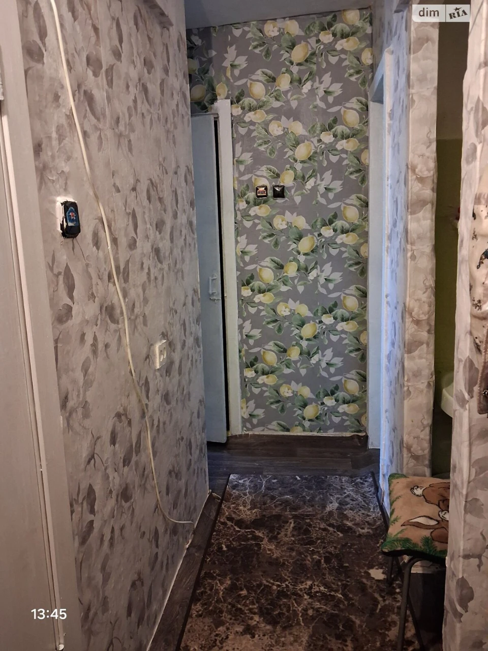 Sale Room Sosnovsky