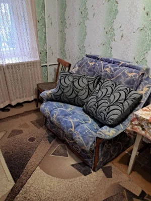 Простора кімната. Слобода. Власниця