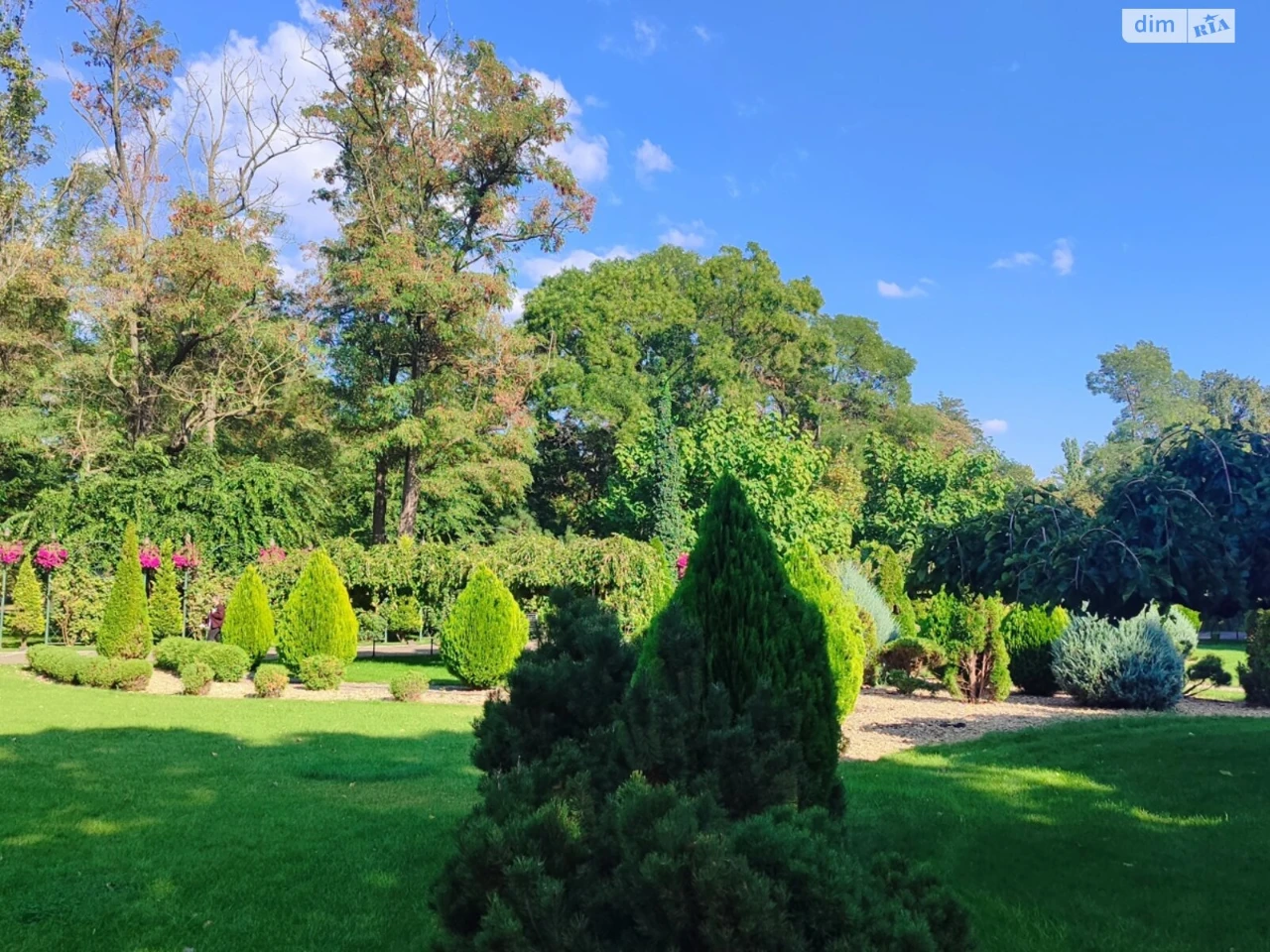 Sale of Room in Luzanka