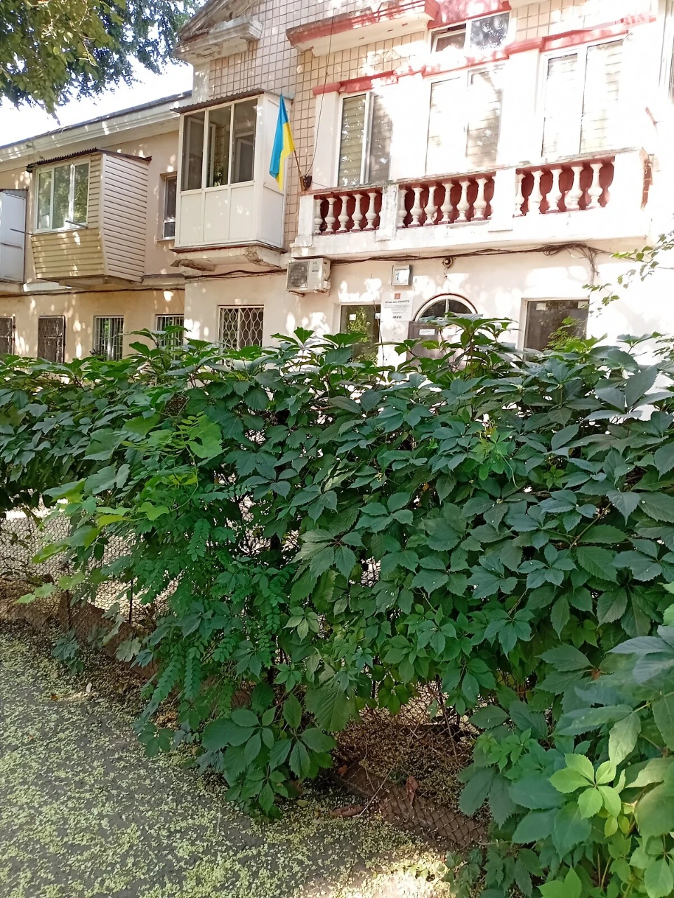 Room for Sale - Sudobudiv