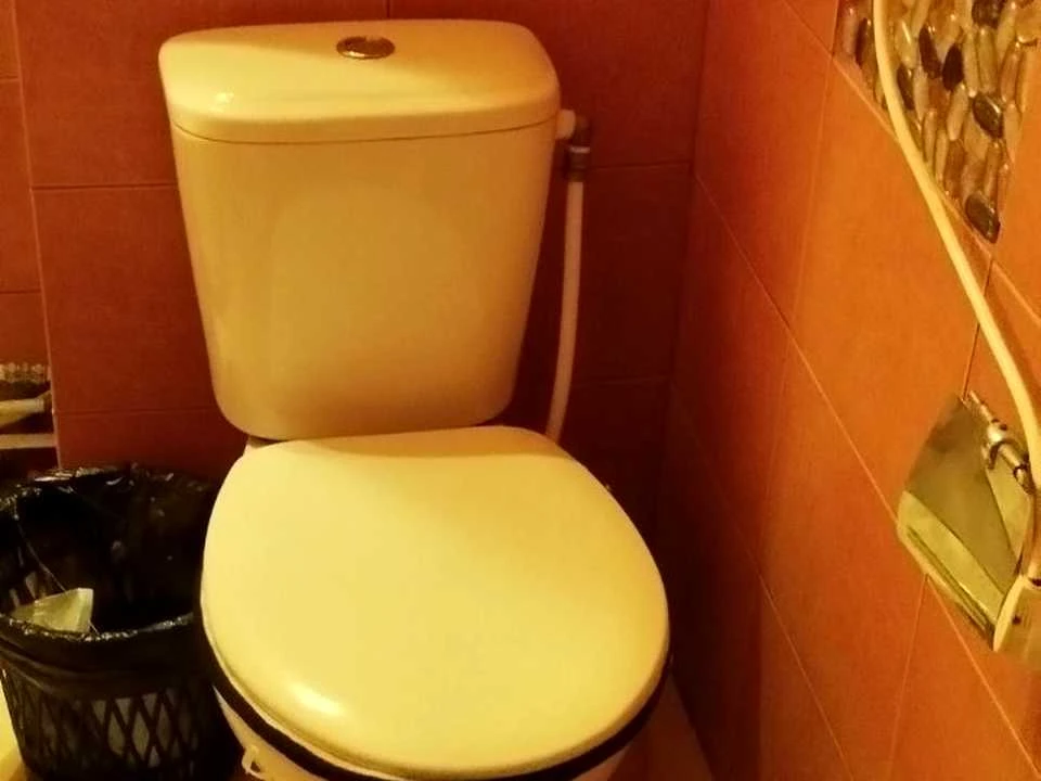 Apartment. Kryvyi Rih, Myru prospect