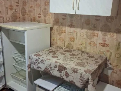 Apartment. Promenista Street, Kryvyi Rih