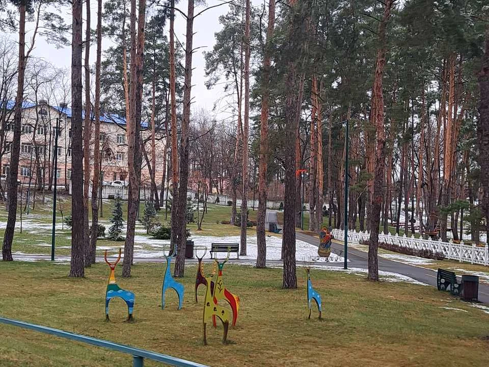 Квартира. Ірпінь, Тищенка вул.