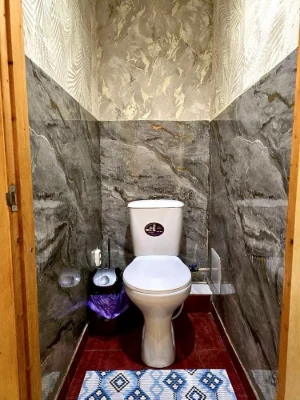 Long-term rental of a 2-bedroom apartment in the city of Snigurivka