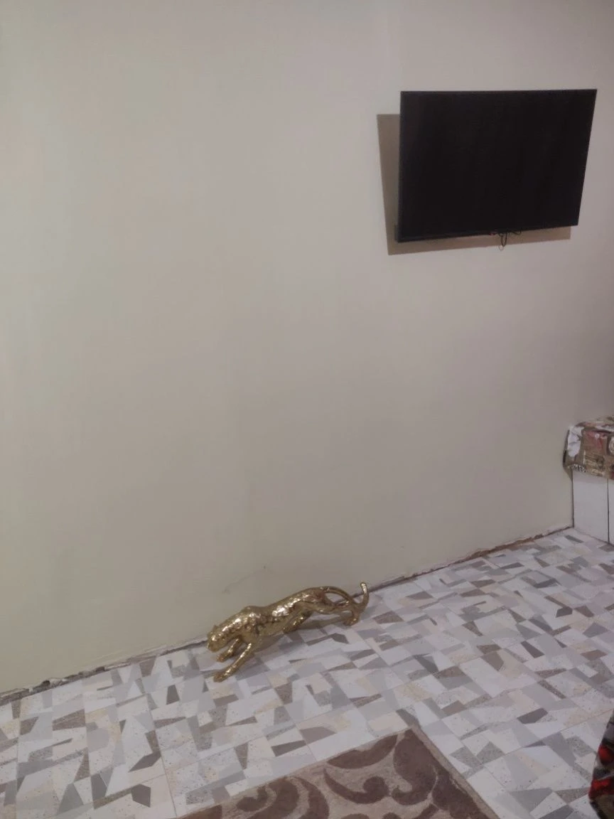 Rent a one-bedroom apartment for a long term