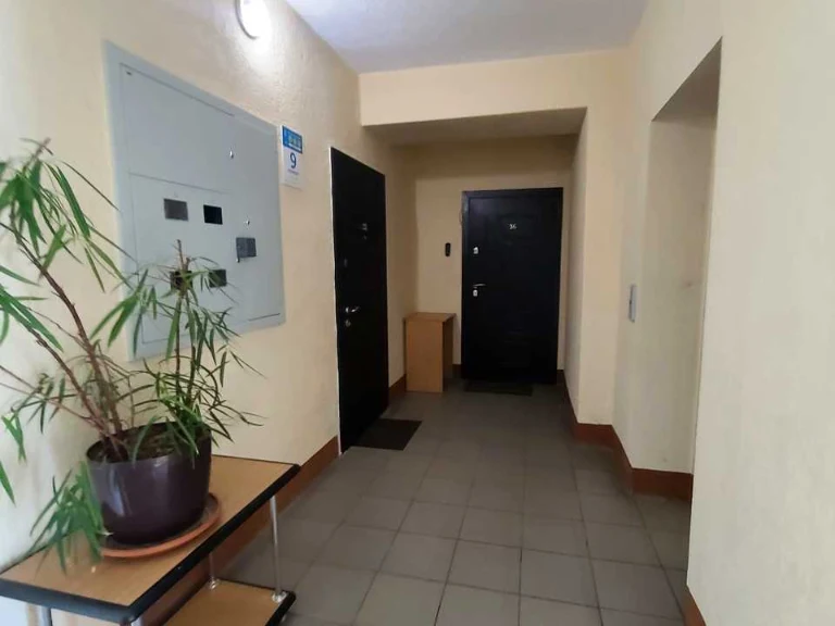 Apartment. Vishneve, Molodizhna st.