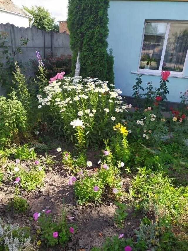 For Sale: 3-room apartment in Zhmeryntsi