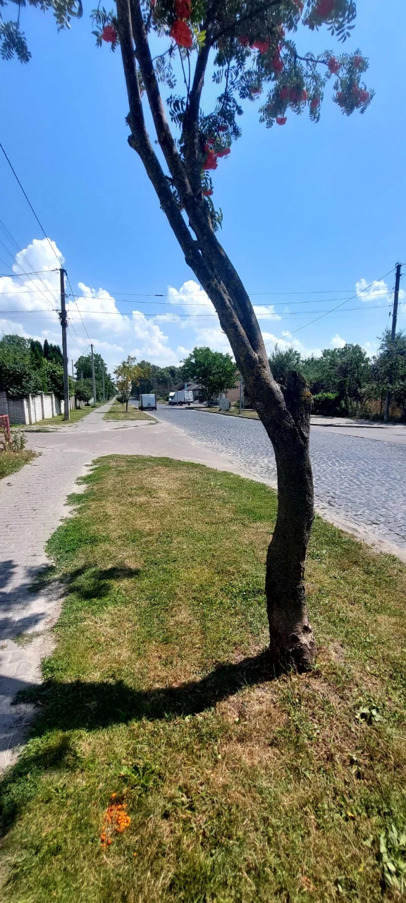 Apartment for sale with land