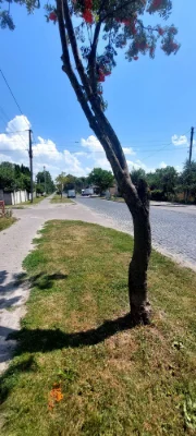 Apartment for sale with land