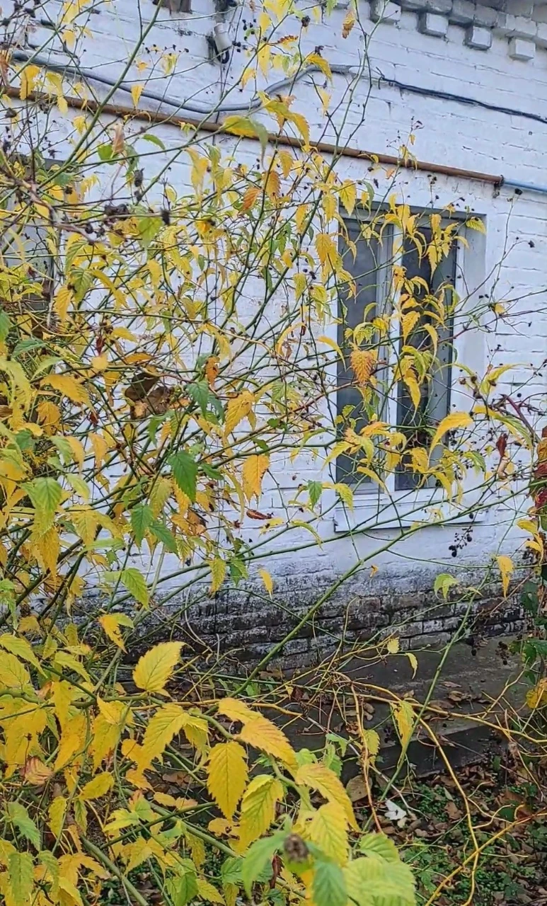 Selling part of a house in the center