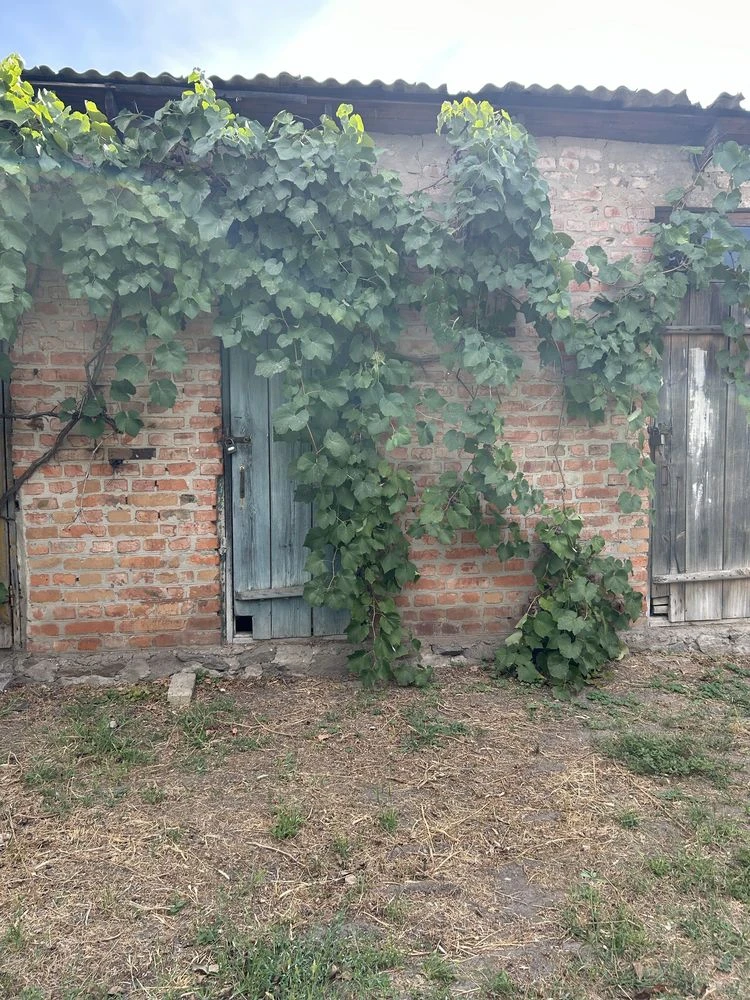 Apartment and House
