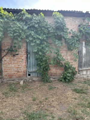 Apartment and House