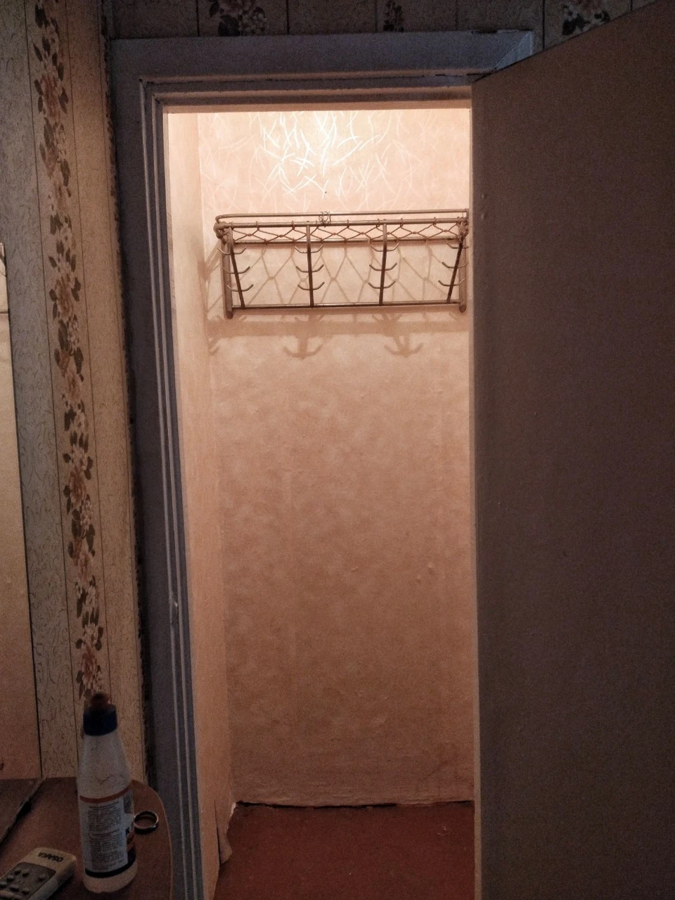 Sale of a 1-bedroom apartment on the left bank, Kamenė