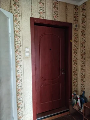 Sale of a 1-bedroom apartment on the left bank, Kamenė