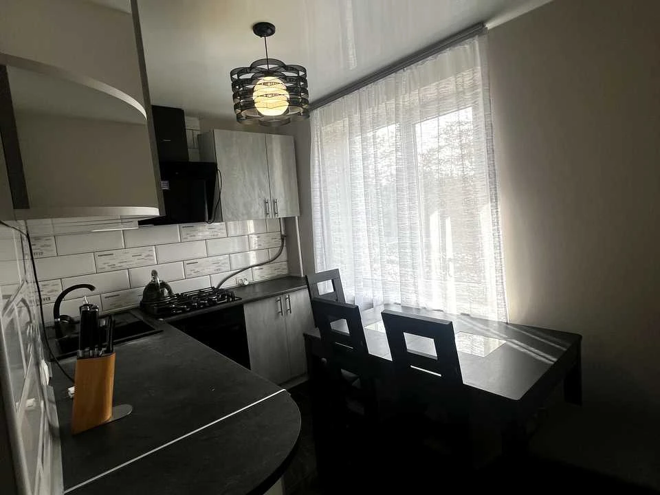 Apartment. Maxim Chizhinka Street, Kam'yanske