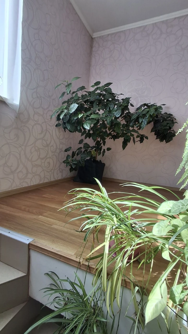 For Sale: 2-Story House in Romanovo