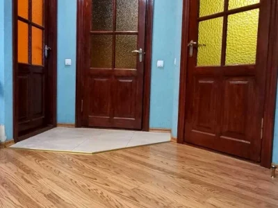 Apartment. Svoboda Street, Kam'yans'k.